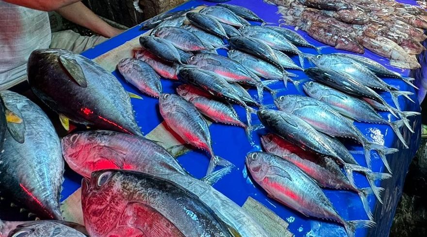 Mengadu ke DPRD Palu, Pedagang Ikan Pasar Masomba Sepi Pembeli, Ini Sebabnya